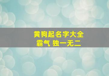 黄狗起名字大全霸气 独一无二